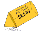 Wisconsin Fast Plants(TM) Seeds